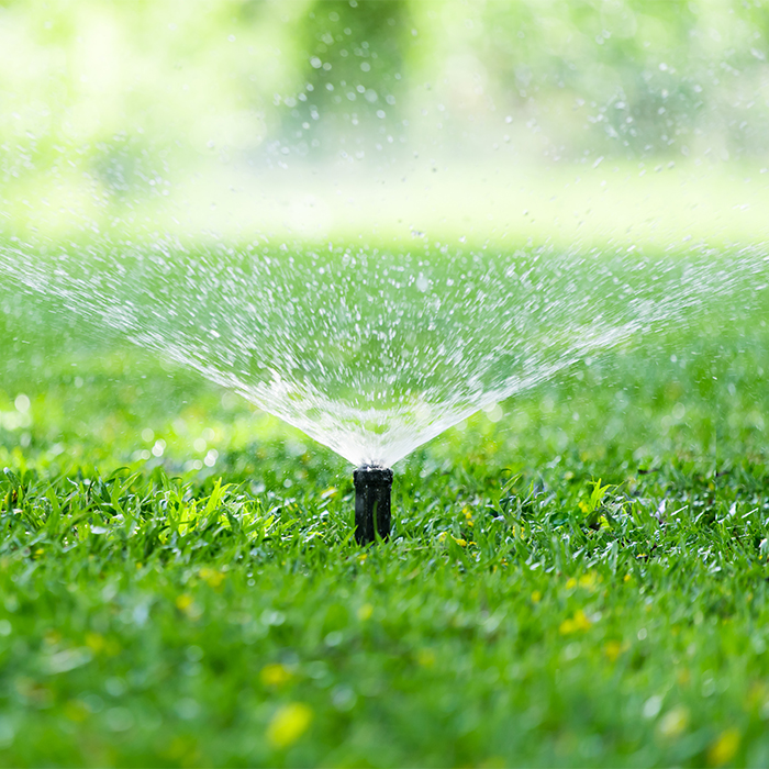 pop up irrigation sprinkler in lawn