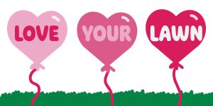three heart shaped balloons with Love Your Lawn written